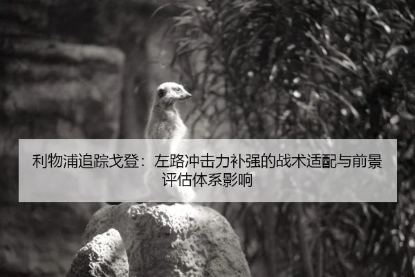 利物浦追踪戈登：左路冲击力补强的战术适配与前景评估体系影响